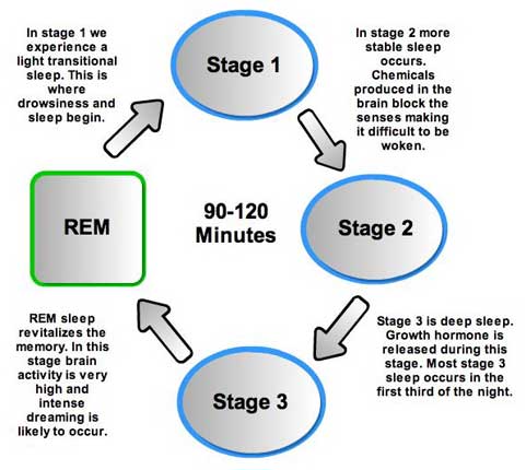 39-stages-of-sleep