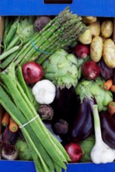 prebiotics