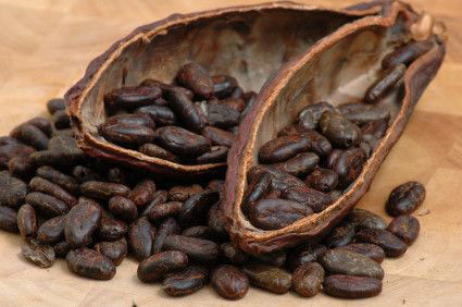 cacao-bean