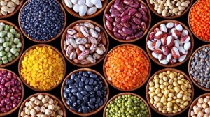 23 legumes