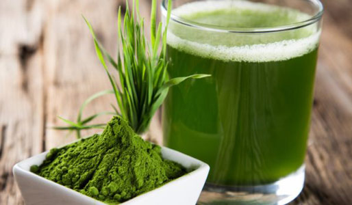 spirulina-in-shake